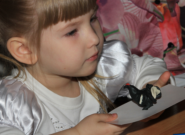 5. Тетерев.JPG