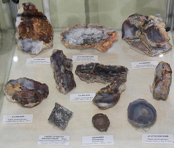 7. Выставка Цвет земли Самарской Жигулёвск 11 мая 2017.JPG