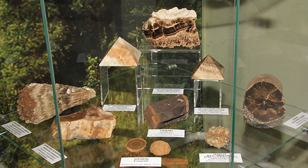 4. Выставка Цвет земли Самарской Жигулёвск 11 мая 2017.JPG