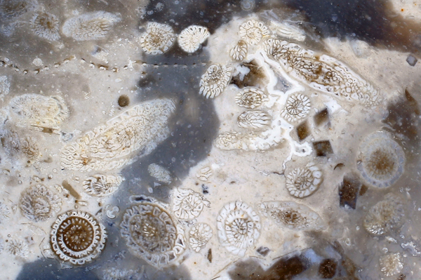 7. Варенов Д.В. Волжская Вселенная.jpg