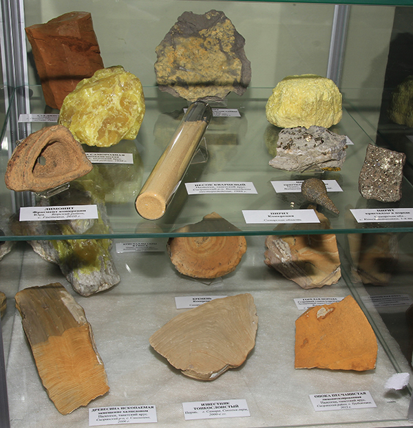 8. Выставка Цвет земли Самарской Жигулёвск 11 мая 2017.JPG