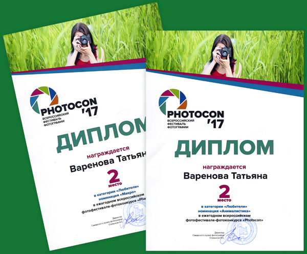 2. Варенова Д.В. Дипломы.jpg