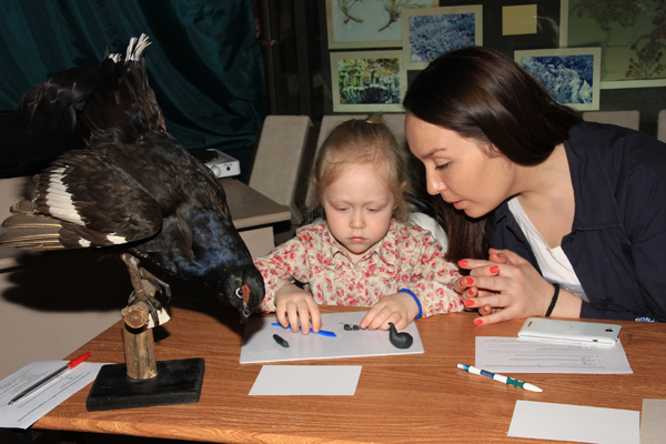 2. Тетерев.JPG