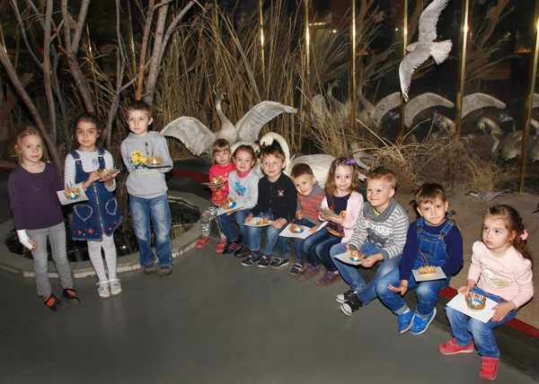 12. Лебедь.JPG